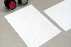 Colorverse Coloring Sheets - Min-Hwa -Office Tools Colorverse ColoringSheets stock 3