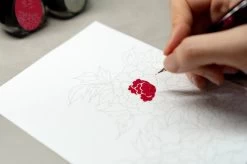 Colorverse Coloring Sheets - Min-Hwa -Office Tools Colorverse ColoringSheets stock 4