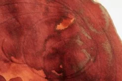 Diamine Ancient Copper - Ink Cartridges -Office Tools Diamine AncientCopper 80ml 30ml environmental 5 Inkdetail 1 a47ed2b3 693c 49d0 92d4 d210f734d34c