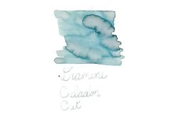 Diamine Celadon Cat - 80ml Bottled Ink -Office Tools Diamine InkReview CeladonCat 2 3fa5143e 3912 4ea9 8c1d 0932215689ca