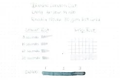 Diamine Celadon Cat - 80ml Bottled Ink -Office Tools Diamine InkReview CeladonCat Rhodia 80gsm 1 873fce75 7e91 46dd 97d9 04a4621e5f62