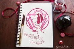 Diamine Syrah - Ink Cartridges -Office Tools Diamine Syrah 1 13c17ab7 9a35 4107 9d91 6f10b92389c7