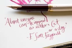 Diamine Syrah - Ink Cartridges -Office Tools Diamine Syrah 2 3 b74efc11 aa9f 4684 8505 49ad8e6bcf06