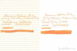 Diamine Autumn Oak - Ink Sample -Office Tools InkReview Diamine AutumnOak 2 d6a95a34 3c58 4ab0 8d7f de8025020069