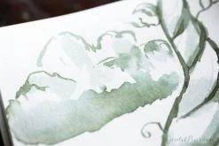 Herbin Vert Empire - 30ml Bottled Ink -Office Tools JHerbin VertEmpire 3 2