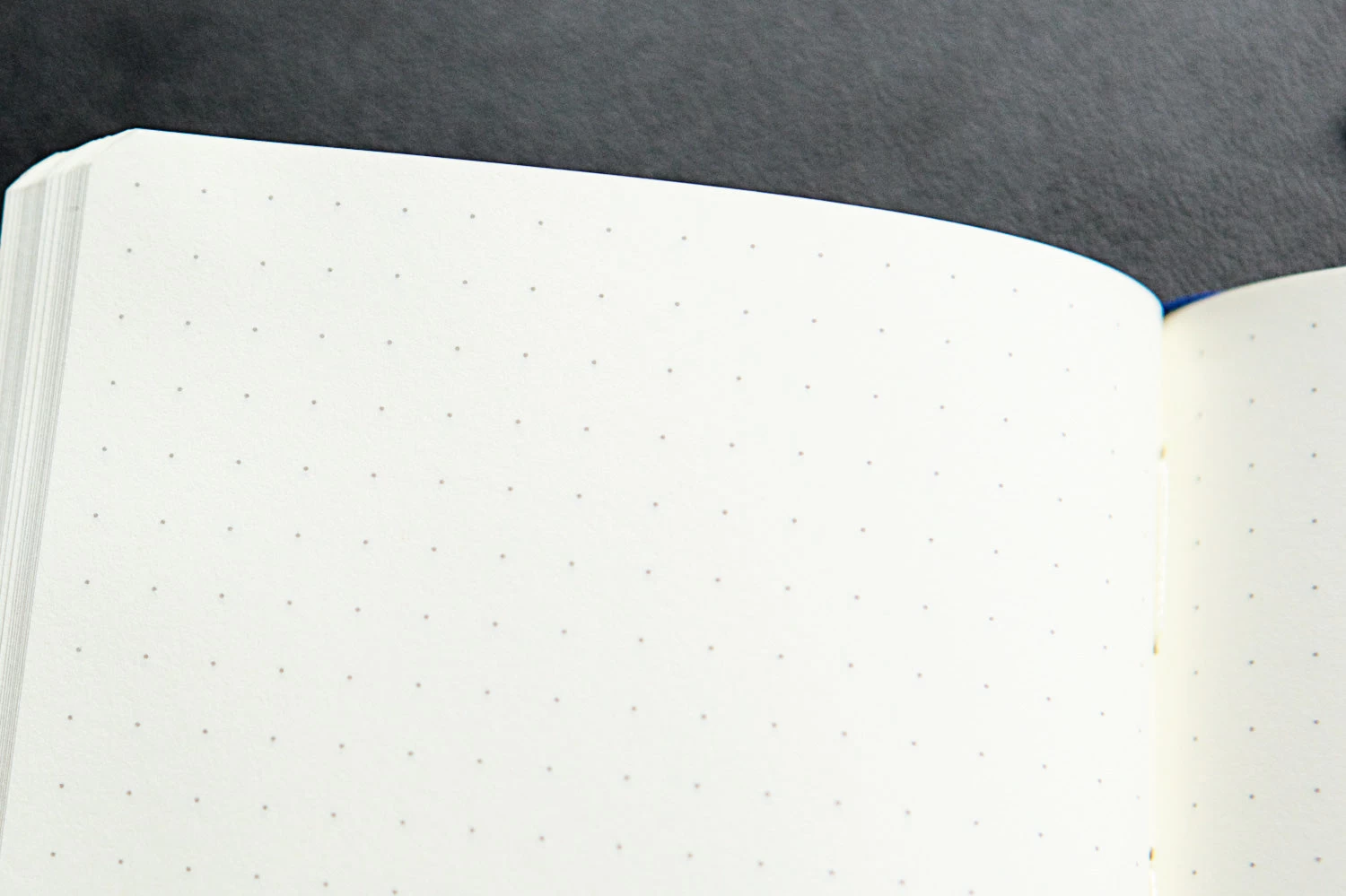 Leuchtturm1917 Medium A5 Notebook - Apricot, Dot Grid 5 Leuchtturm1917 Medium A5 Notebook - Apricot, Dot Grid - Image 3