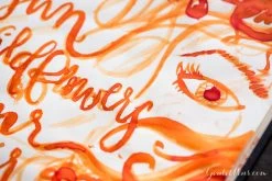 Pelikan Edelstein Mandarin - Ink Sample -Office Tools MondayMatchup Pelikan Edelstein Mandarin 11