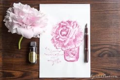 Robert Oster Cherry Blossom - 50ml Bottled Ink -Office Tools MondayMatchup ROCherryBlossom TWSBIClassicBurgundy 1 a0bfaba6 5454 4f81 958d a7c2e34bbf9e