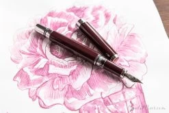 Robert Oster Cherry Blossom - 50ml Bottled Ink -Office Tools MondayMatchup ROCherryBlossom TWSBIClassicBurgundy 2 1 7798a5c8 b129 4caf 92b6 27c3eec763f9
