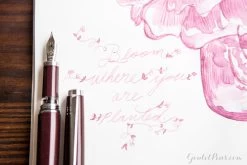 Robert Oster Cherry Blossom - 50ml Bottled Ink -Office Tools MondayMatchup ROCherryBlossom TWSBIClassicBurgundy 3 37f0f6ca dea5 45d3 9470 c97020dcb73c