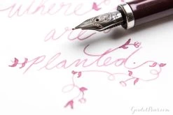 Robert Oster Cherry Blossom - 50ml Bottled Ink -Office Tools MondayMatchup ROCherryBlossom TWSBIClassicBurgundy 5 04a24be4 5b9b 49eb 898b 216328d4c9ae