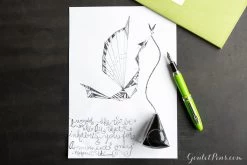 Diamine Silver Fox - 40ml Bottled Ink -Office Tools MondayMatchup Week70 Blog 1 1