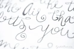 Diamine Silver Fox - 40ml Bottled Ink -Office Tools MondayMatchup Week70 Blog 7