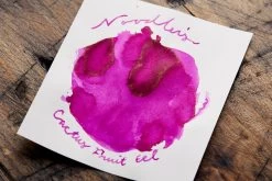 Noodler's Cactus Fruit Eel - Ink Sample -Office Tools Noodlers CactusFruitEel InkReview 3 9c0374df e568 4026 b7d8 3ae02856b0d7