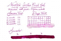 Noodler's Cactus Fruit Eel - Ink Sample -Office Tools Noodlers CactusFruitEel InkReview Rhodia 80g 1 7972fc1c 034c 49a5 8376 02c91e137fcb