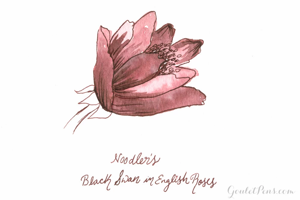 Noodler's Black Swan In English Roses - Ink Sample 4 Noodler's Black Swan In English Roses - Ink Sample - Image 2