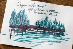 Organics Studio Henry David Thoreau Walden Pond - 55ml Bottled Ink -Office Tools OrganicStudios WaldenPond InkReview 5