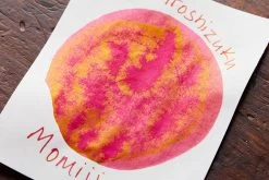 Pilot Iroshizuku Momiji - Ink Cartridges -Office Tools Pilot Iroshizuku Momiji InkReview 3 195dee6a 2034 4ee3 86a4 ef27664a1507