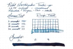 Pilot Iroshizuku Tsuki-yo - Ink Cartridges -Office Tools Pilot Iroshizuku Tsukiyo InkReview Rhodia 80g 1 3d6c50e4 0900 4956 b441 414062036e45