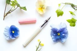 Pilot Kakuno Fountain Pen - Pink/White -Office Tools Pilot Kakuno PinkWhite NW 11