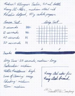 Rohrer & Klingner Salix (iron Gall) - Ink Sample -Office Tools RK Salix 1