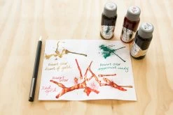 Robert Oster Red Gold - 50ml Bottled Ink -Office Tools RobertOster ShakeandShimmy 1 f743ed12 2955 4932 9cbc 525559e482af