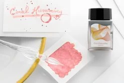 Sailor Dipton Coral Humming - 20ml Bottled Ink -Office Tools Sailor Dipton 20mlBottle CoralHumming 2