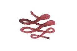 Sailor Manyo Ume - Ink Sample -Office Tools Sailor Manyo Ume stock2