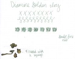 Diamine Golden Ivy - 50ml Bottled Ink 9 Diamine Golden Ivy - 50ml Bottled Ink -Office Tools WS Diamine GoldenIvy