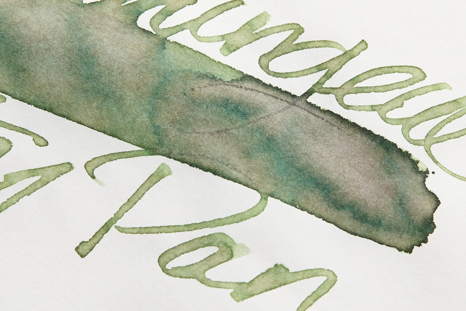 Wearingeul Peter Pan - Ink Sample 6 Wearingeul Peter Pan - Ink Sample - Image 4