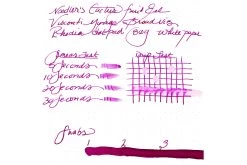 Noodler's Cactus Fruit Eel - Ink Sample -Office Tools WritingSample Noodlers CactusFruitEel 1 2acd47df eae3 4d74 9f03 07f0ff8774ab